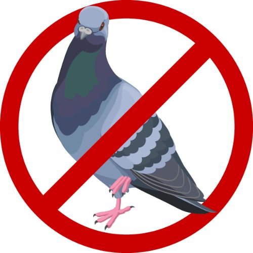 Birds Control Services